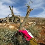 Resistance is Fertile: Palestine’s Eco-War