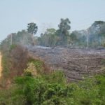Forest-Dependent Communities Lobby for End of REDD+