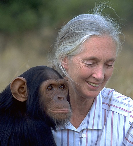 Jane Goodall: Primatologist, Activist – Haiti Chery