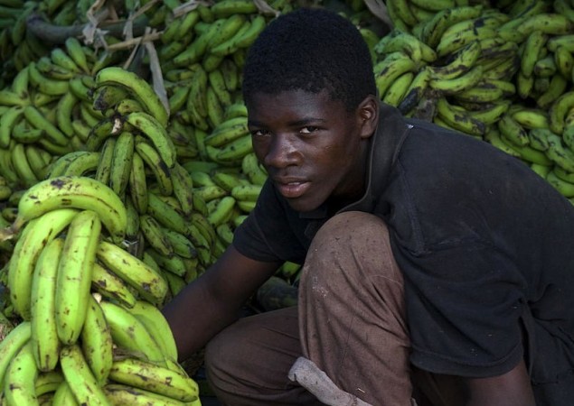 Boy Sells Bananas in Newly-Revived Port-au-Prince Market