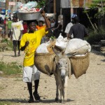 Haiti as a Testament to Human Resistance