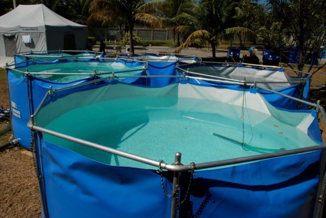 Pools used for the treatment of water in its various stages to make it potable.